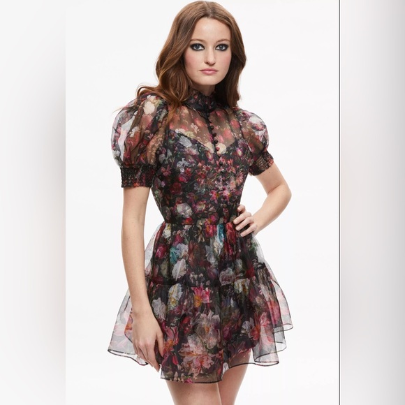 NWT $595 Alice + Olivia Vernita Silk Puff Sleeve Mini Dress - Picture 2 of 8